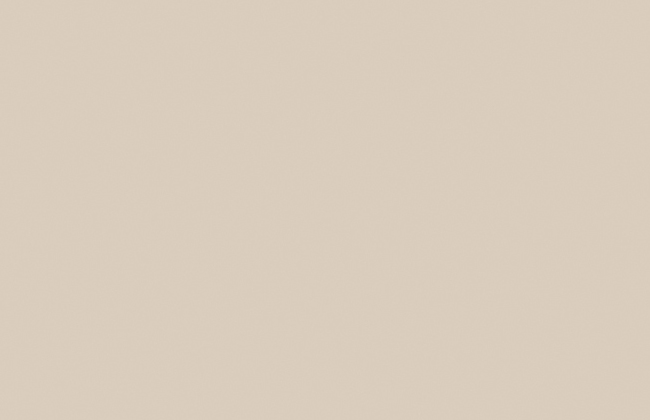 ABS Edging Tape Satin / Champagne 1 x 22mm