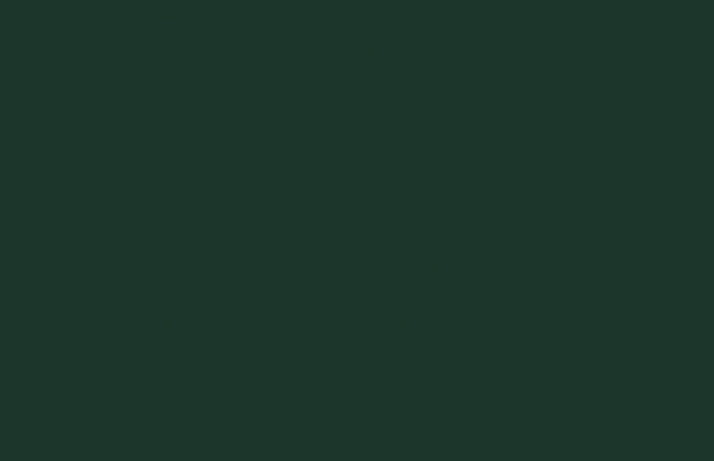 ABS Edging Tape Fir Green ST9 0.8 x 23mm