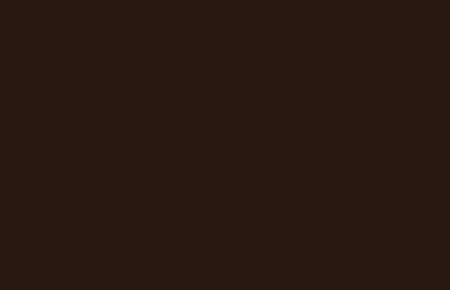 ABS Edging Tape Dark Chocolate 0.8 x 22mm