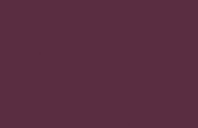 ABS Edging Tape Spice Red 0.8 x 22mm