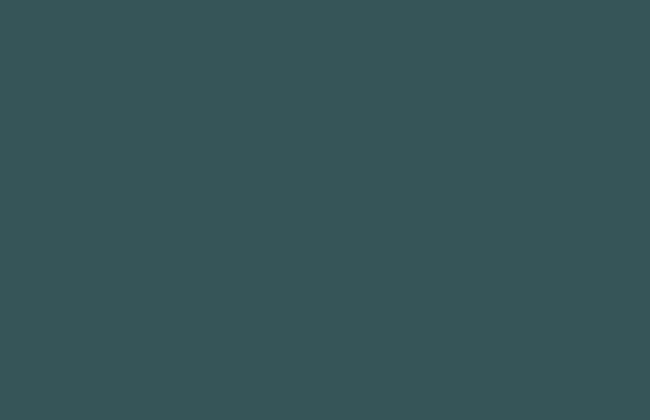 ABS Edging Tape Petrol 0.8 x 22mm