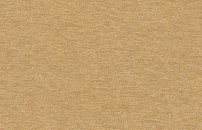 ABS Edging Tape Golden Brushed Metal  0.8 x 23mm