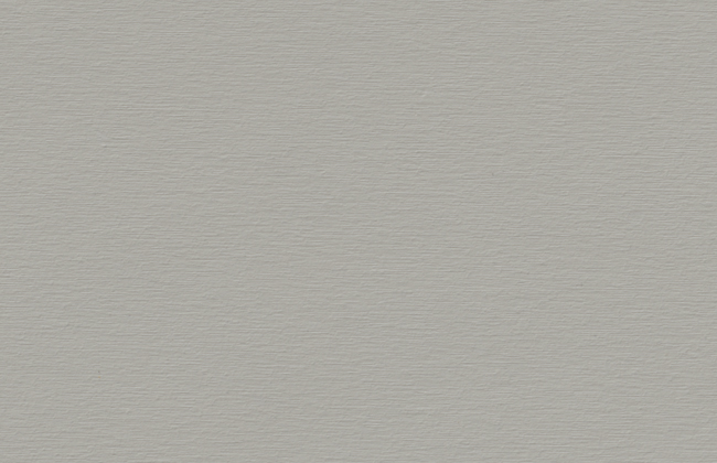 ABS Edging Tape Brushed Silver Grey ST9 0.4 x 22mm