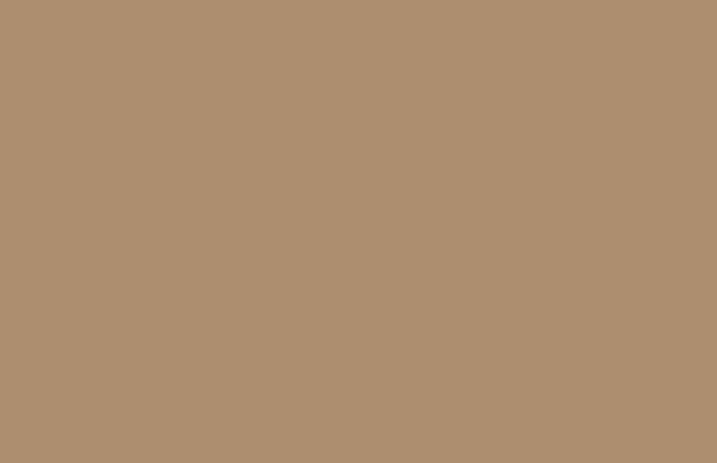ABS Edging Tape Caramel Beige 2 x 23mm